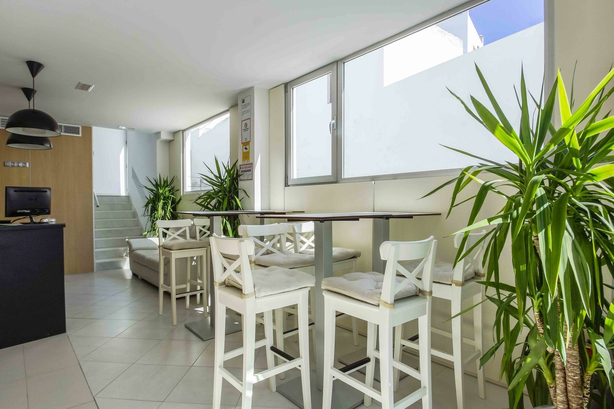 Hostal Campito Conil De La Frontera Εξωτερικό φωτογραφία